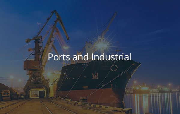 port and industrial dangerous good consultant